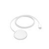 Apple MagSafe Charger 1 m