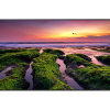 Samsung 4K UHD Smart Signage QBB Series LH65QBBEBGCXUE