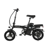 Green Lion GBK 100 Electric Bike